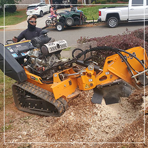 Stump Grinding